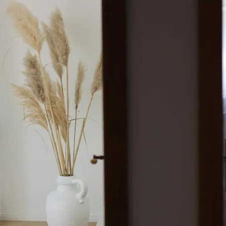 Vulkan-nest In Der Eifel Lejlighed *