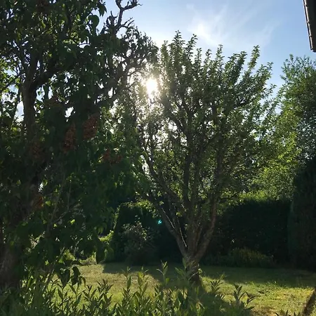 Vulkan-nest In Der Eifel Lejlighed