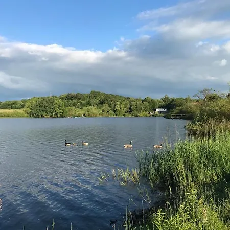 Vulkan-nest In Der Eifel Ulmen